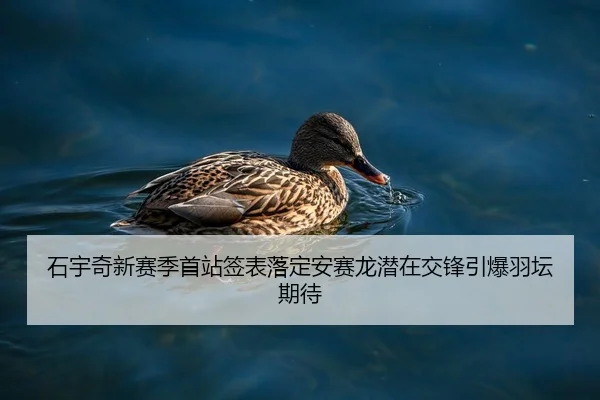 石宇奇新赛季首站签表落定安赛龙潜在交锋引爆羽坛期待