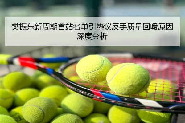 樊振东新周期首站名单引热议反手质量回暖原因深度分析